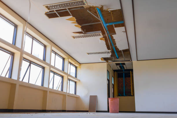 Best Water damage restoration mold remediation  in Val Verde Park, TX