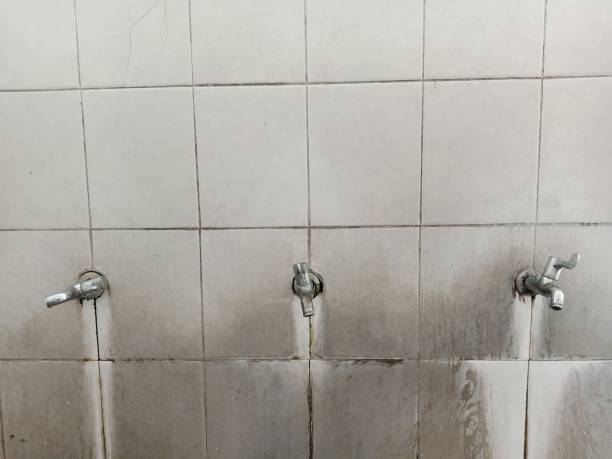 Best Water damage restoration near me  in Val Verde Park, TX