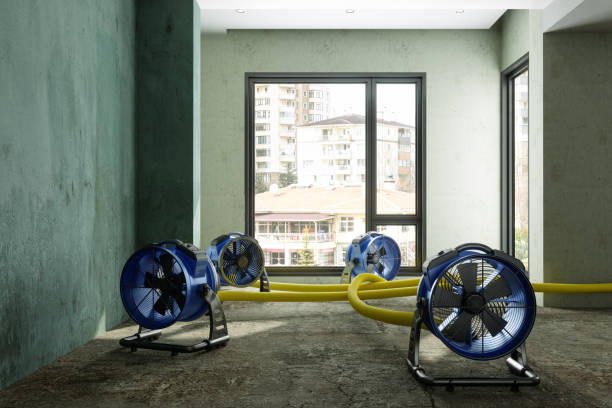 Best Professional water damage repair  in Val Verde Park, TX