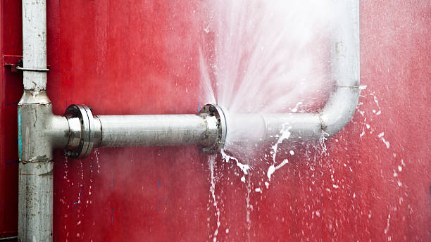 Best Local water damage restoration  in Val Verde Park, TX